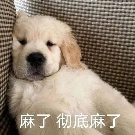 留學生10大最難學專業(yè)，金融竟然是最后一名？